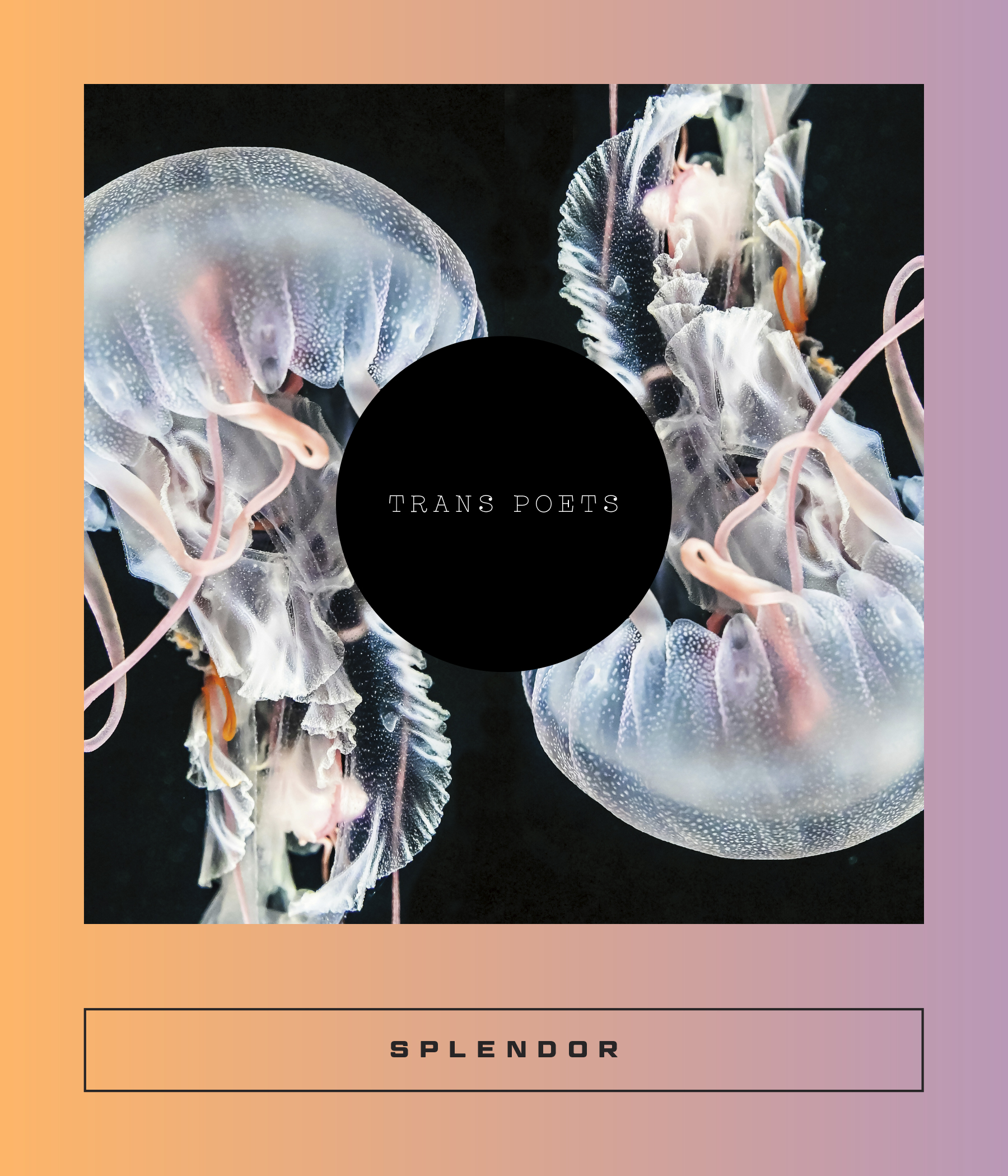 Cover of Splendor: Trans Poetics