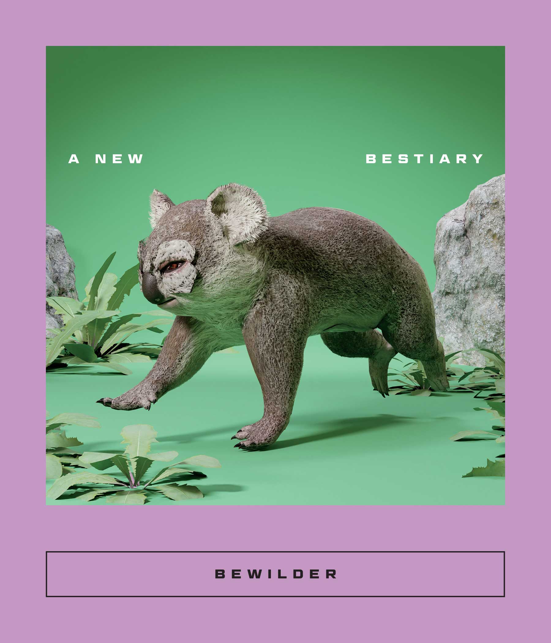 Cover of BEWILDER