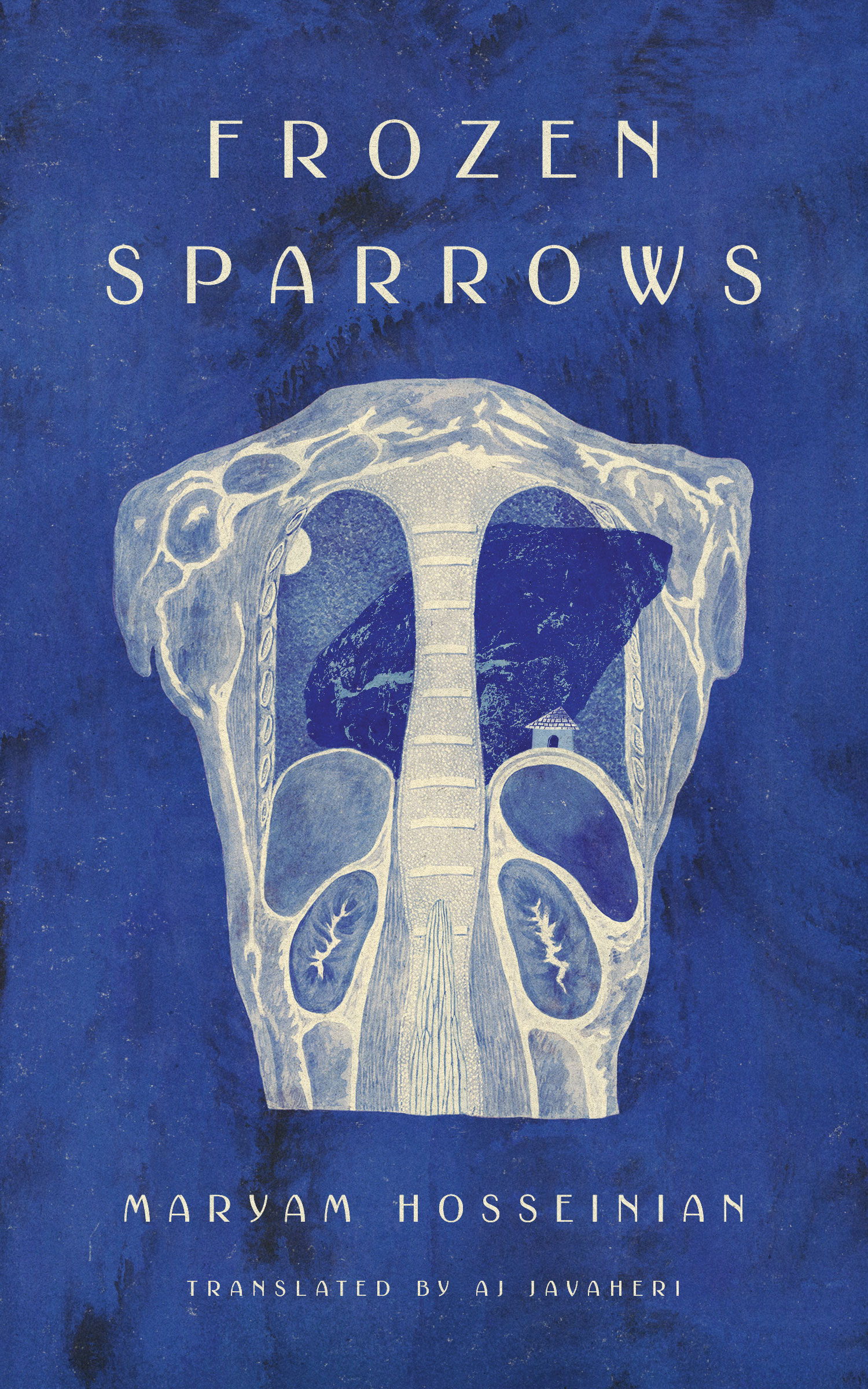 Frozen Sparrows cover