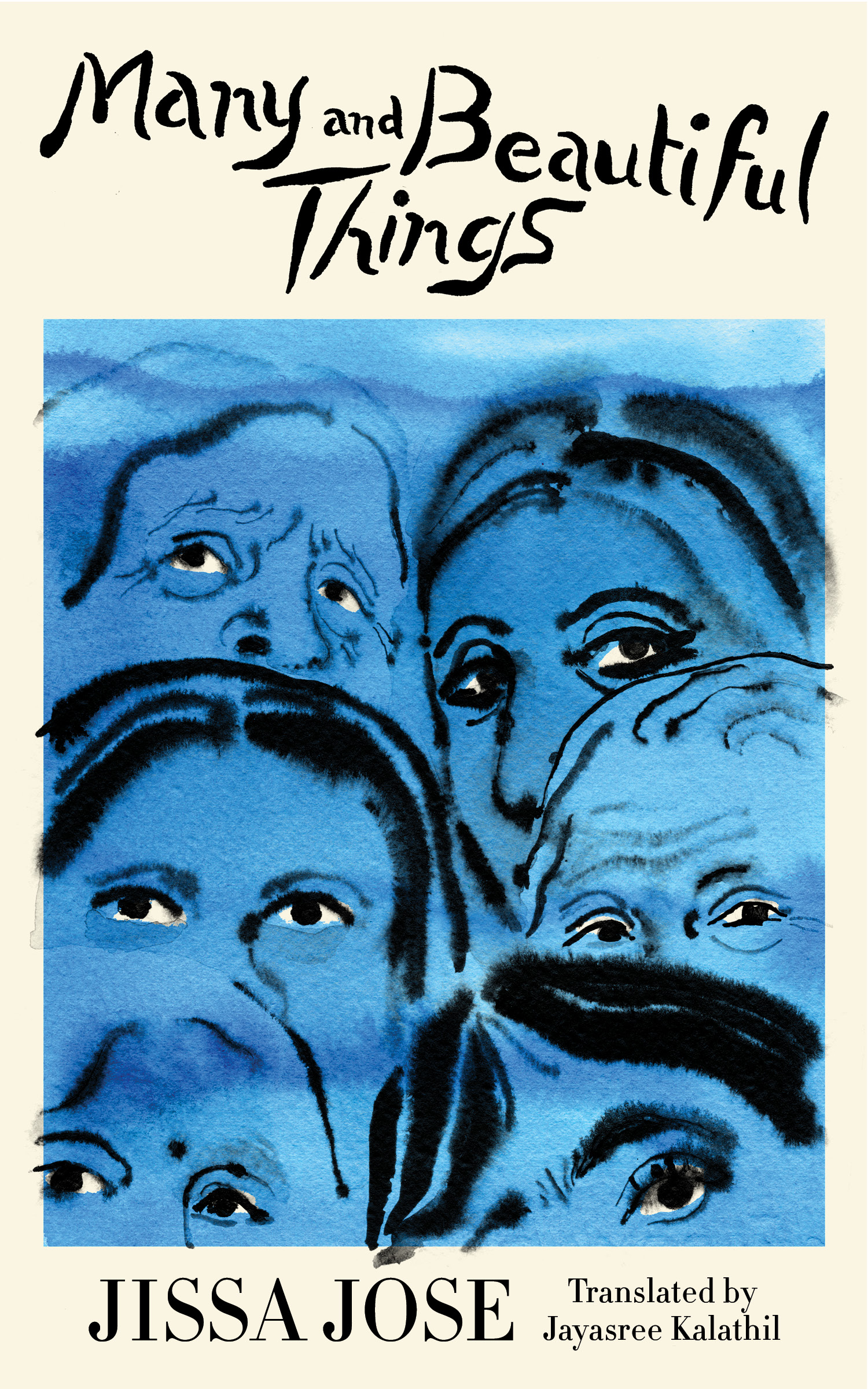 cover of Many and Beautiful Things